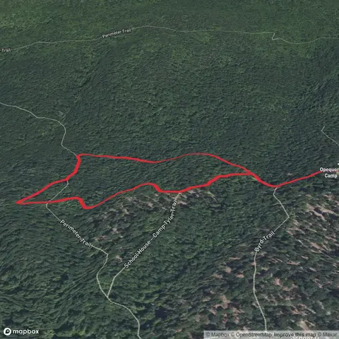 Langdon Loop