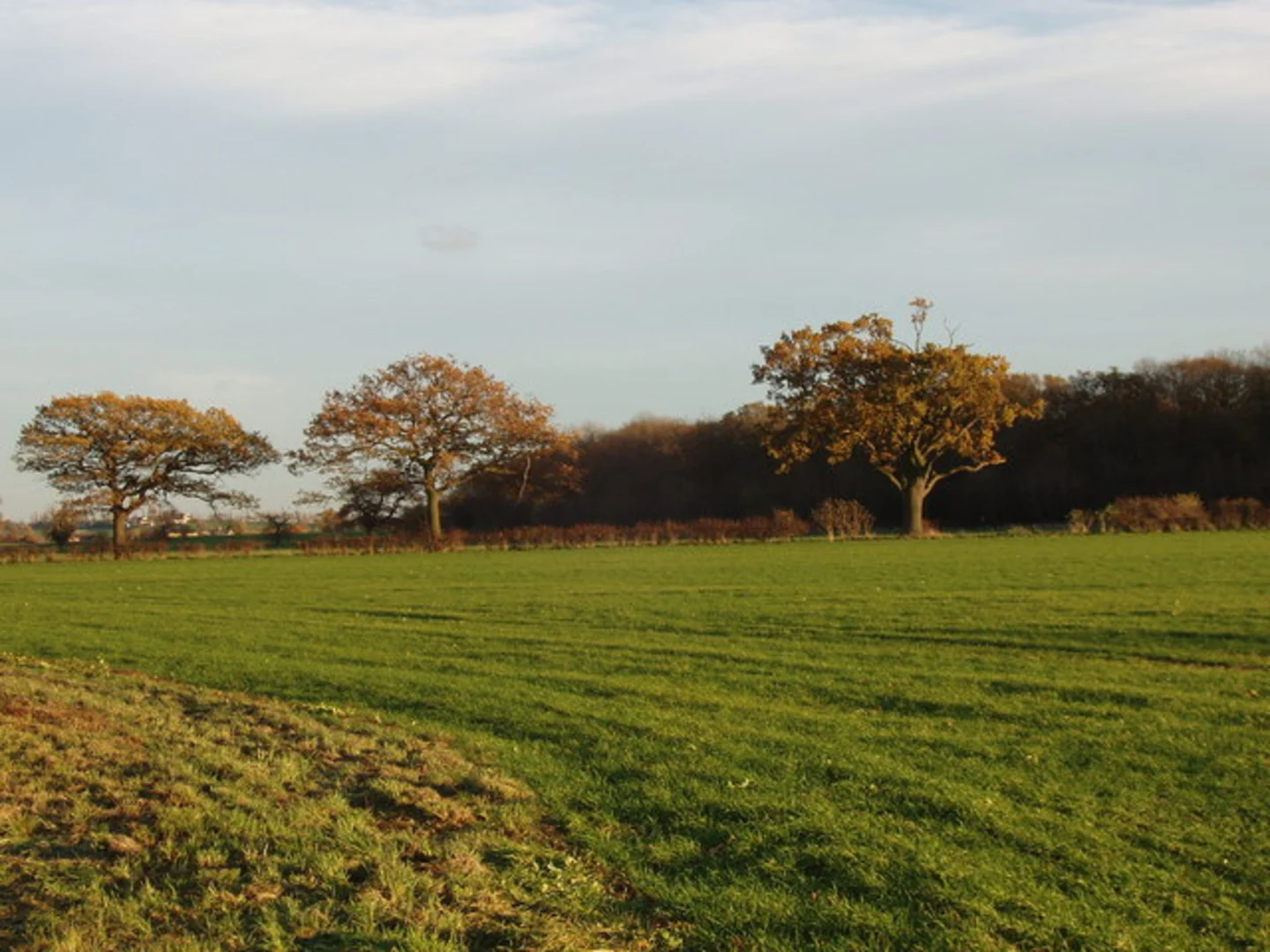 An image depicting the trail Upwood and Great Raveley Loop and its surrounding area.