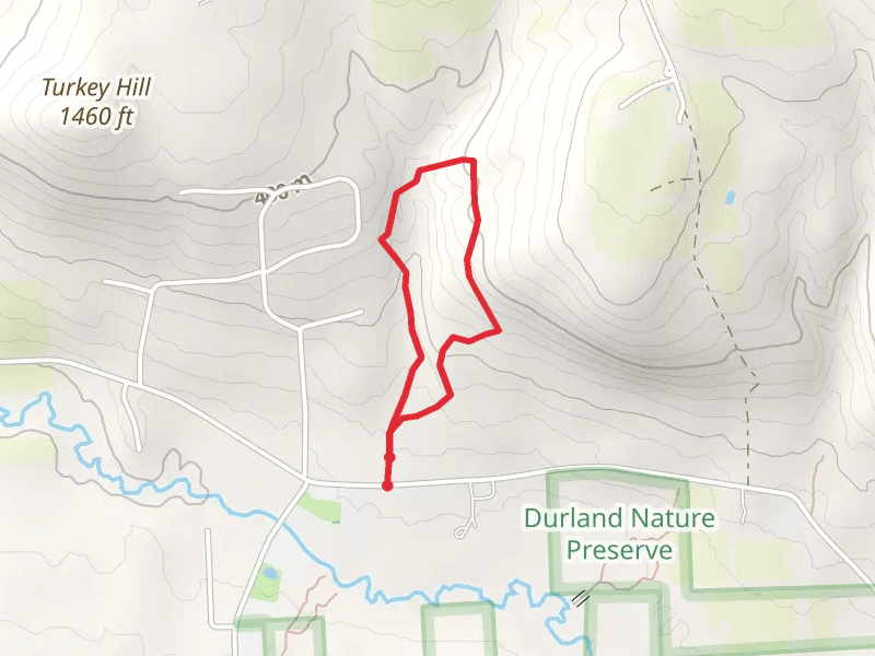 Ellis Hollow Creek Road Loop