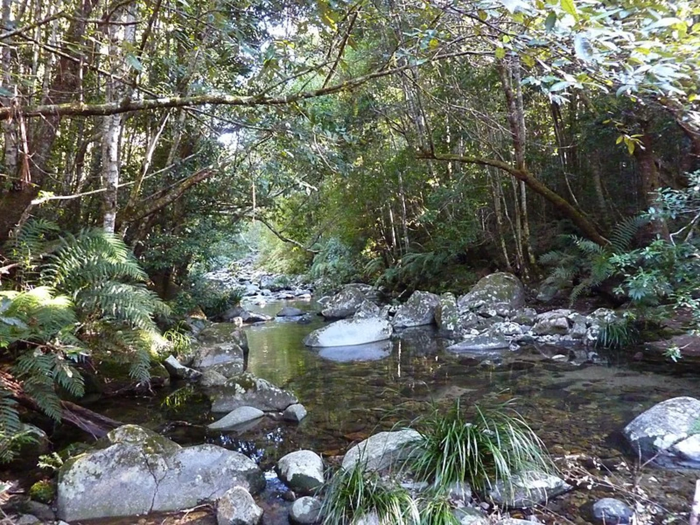 An image depicting the trail Coombadjha Nature Stroll Track and its surrounding area.