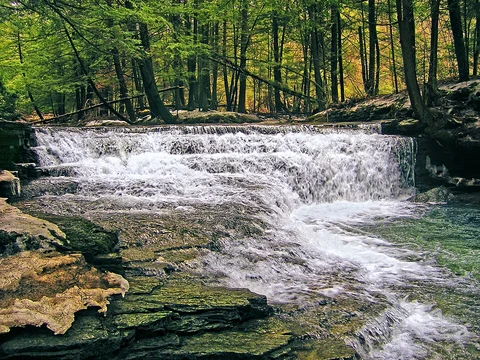 Fall Brook Trail via Hemlock Trail