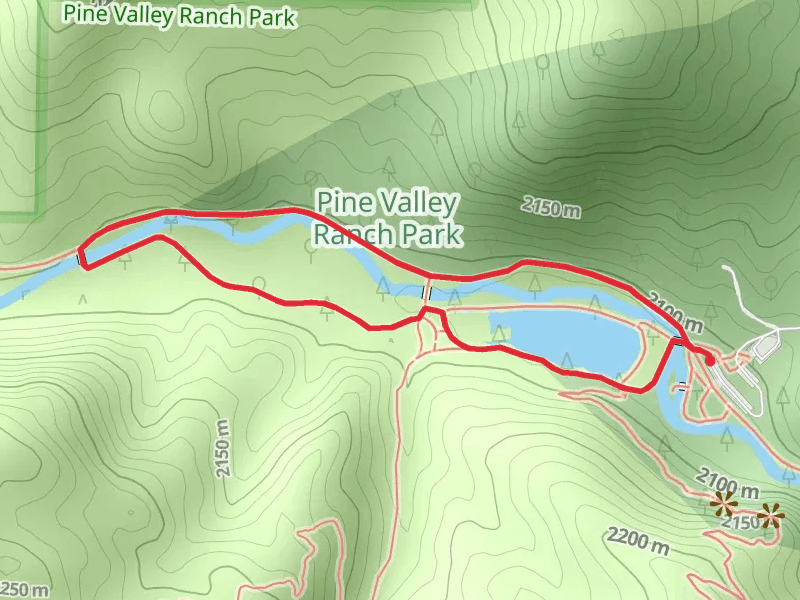 Pine Lake Loop Trail
