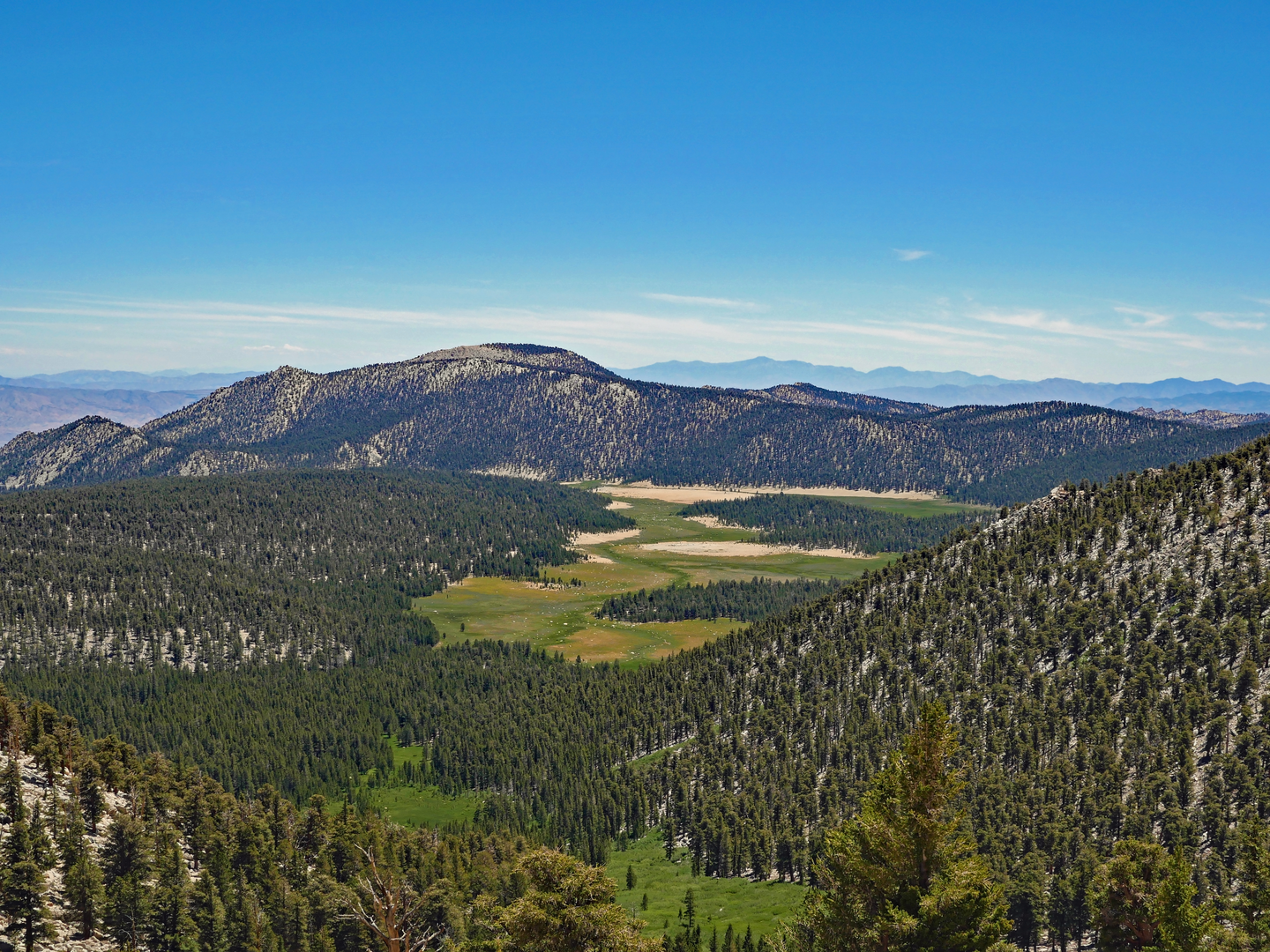 An image depicting the trail Theodore Solomons Trail and its surrounding area.