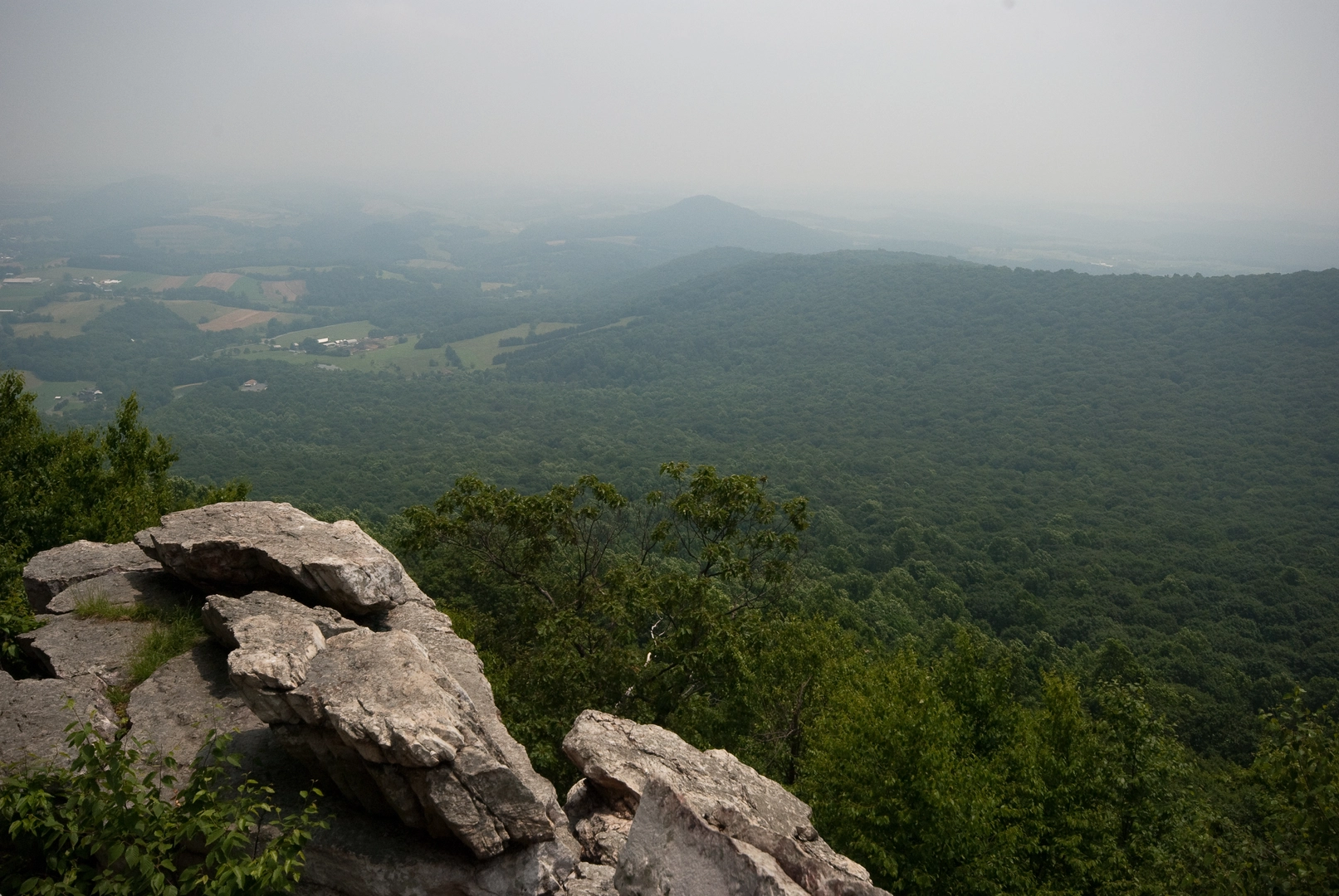An image depicting the trail Tucquan Creek and Conestoga Trail and its surrounding area.