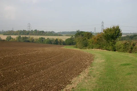 Great Yeldham Loop