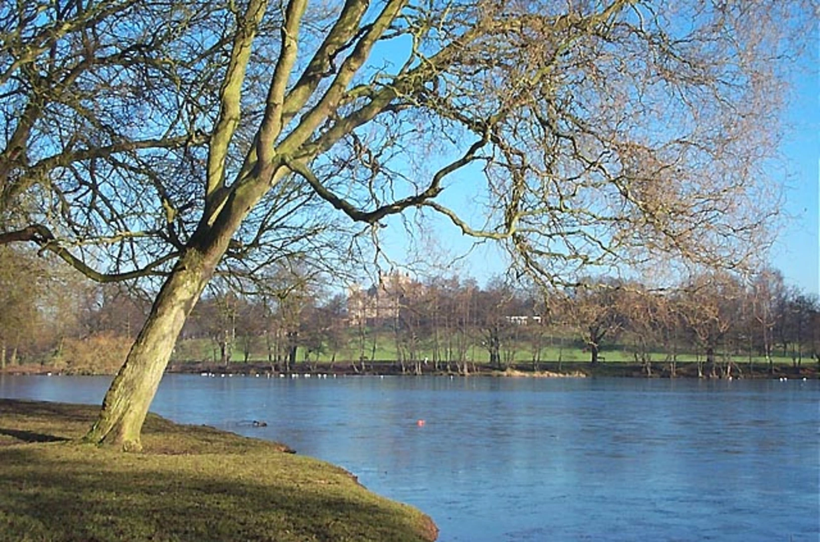 An image depicting the trail Wollaton Park and The Lake Loop and its surrounding area.