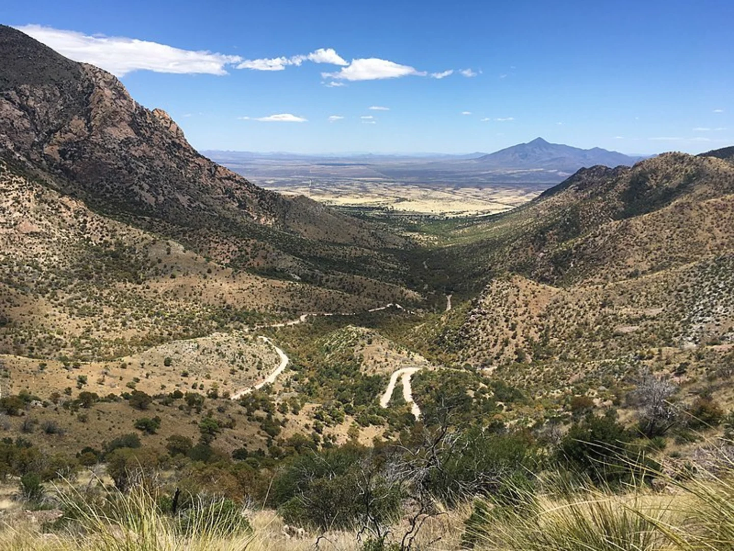 An image depicting the trail Yaqui Ridge via Arizona Trail and its surrounding area.