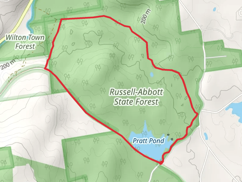 Russell-Abbott State Forest - Pratt Pond Loop Trail