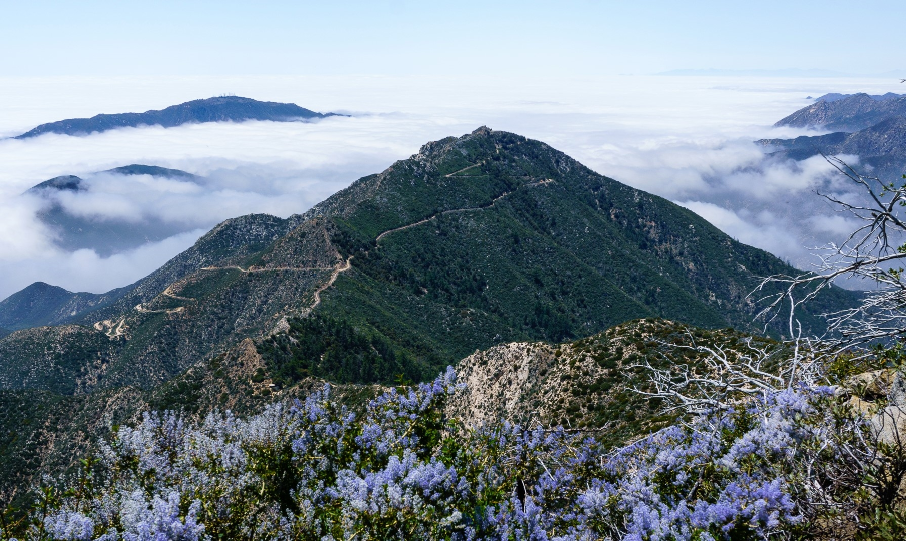 An image depicting the trail Josephine Peak and Josephine Gap via Colby Canyon Trail and its surrounding area.