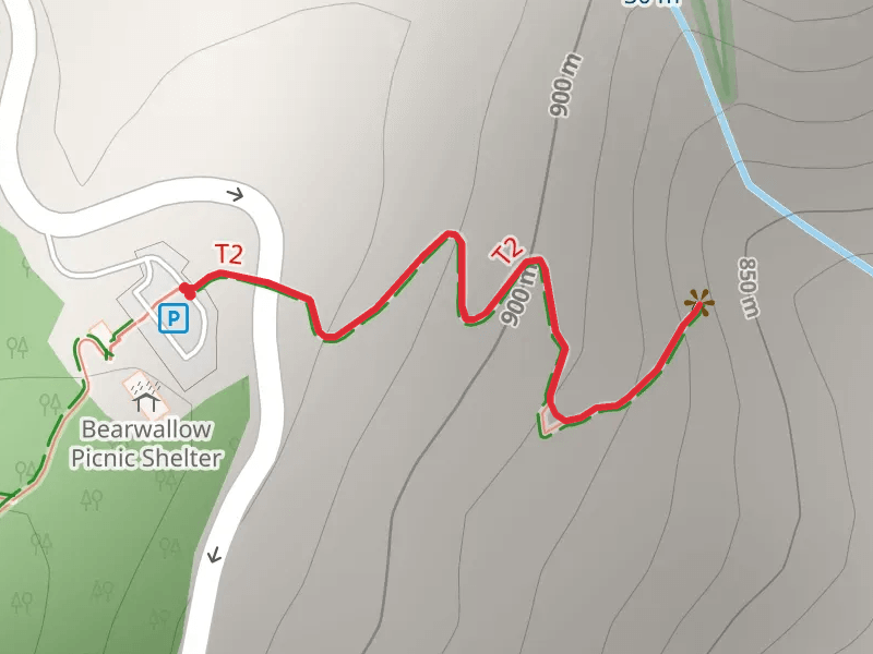 Bearwallow Falls Trail
