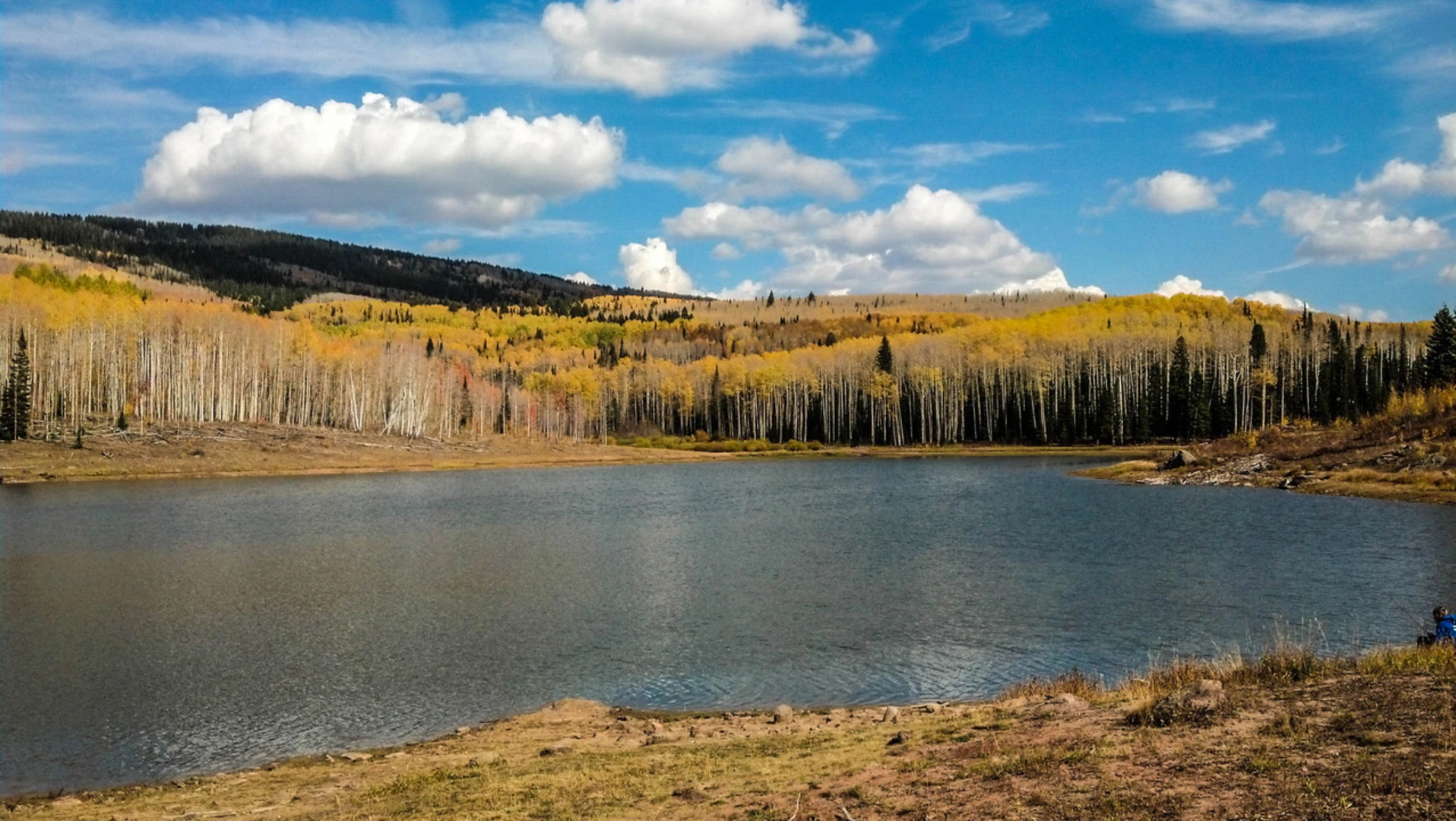 An image depicting the trail Freeman Reservoir via Freeman Barrier Free Trail and its surrounding area.