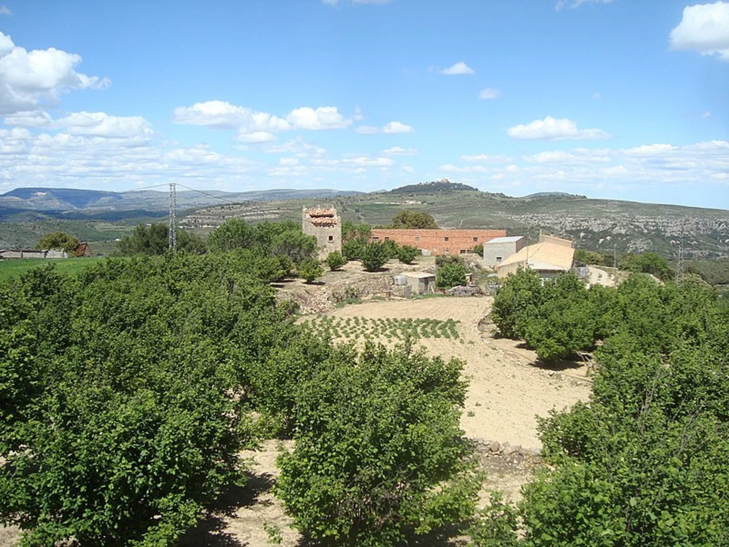 An image depicting the trail Cova del Bovalar PR CV 297 and its surrounding area.