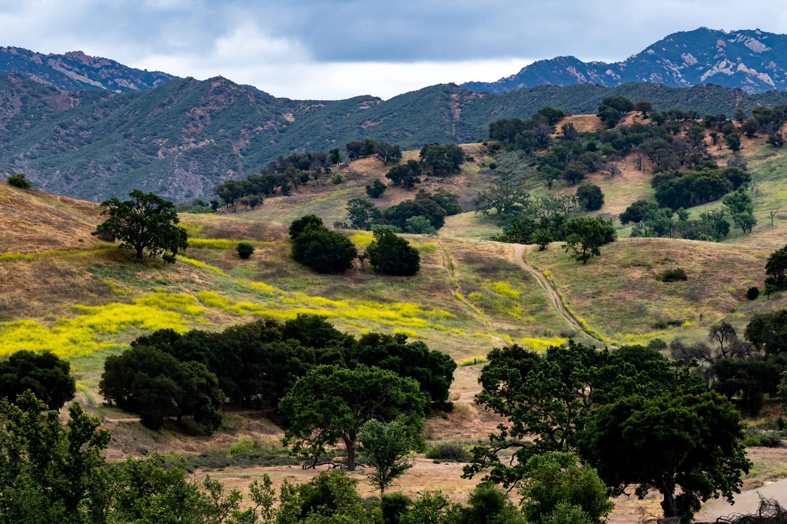 An image depicting the trail Malibu Canyon Road and its surrounding area.