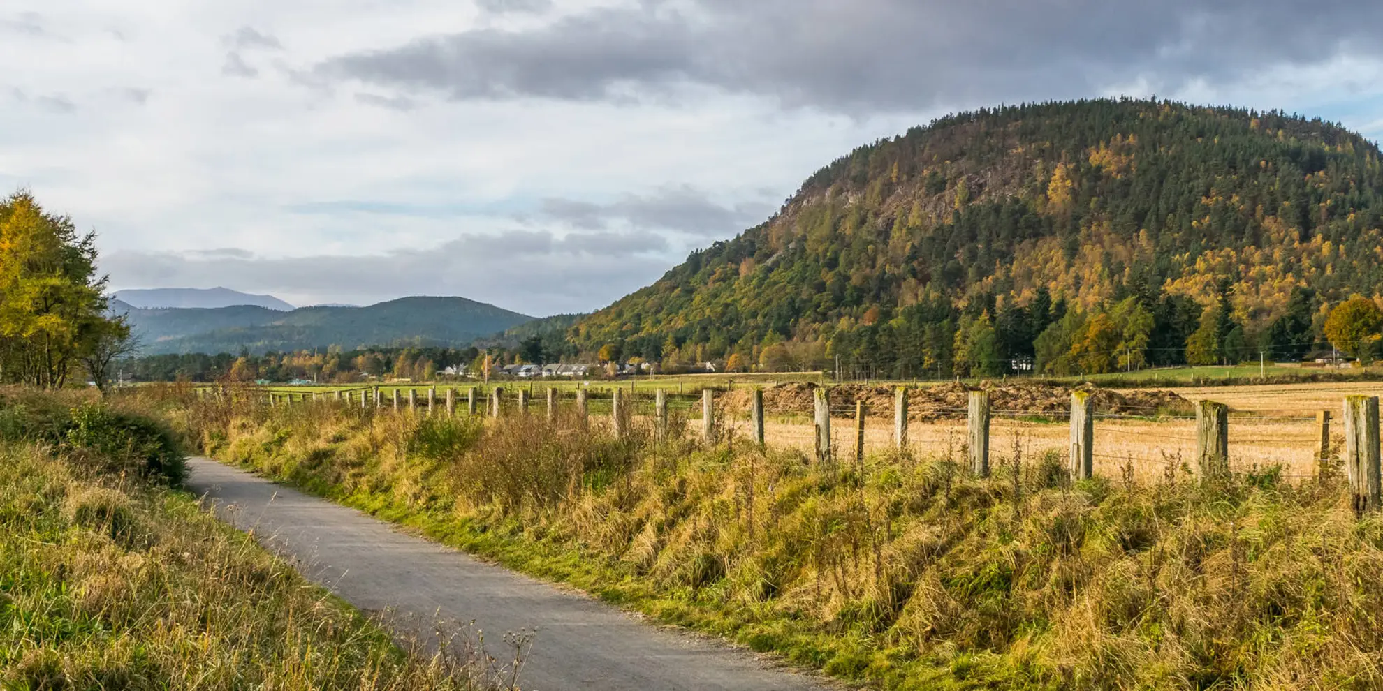 An image depicting the trail Pannanich Woods Circular Walk and its surrounding area.