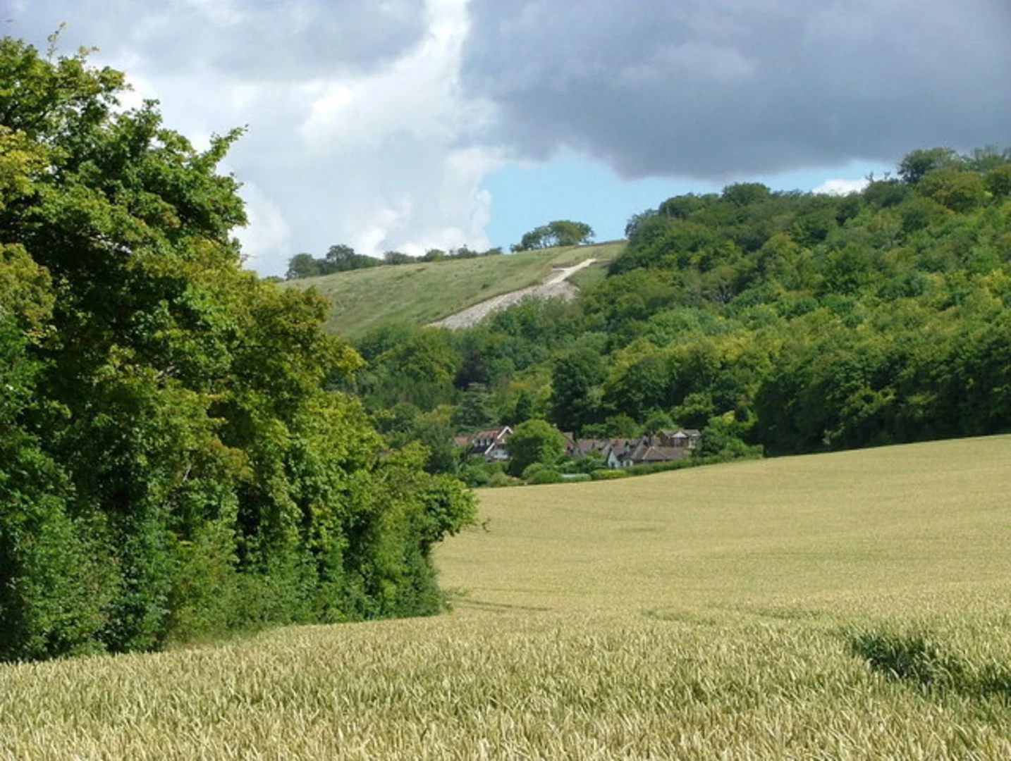 An image depicting the trail Princes Risborough to Tring Walk and its surrounding area.