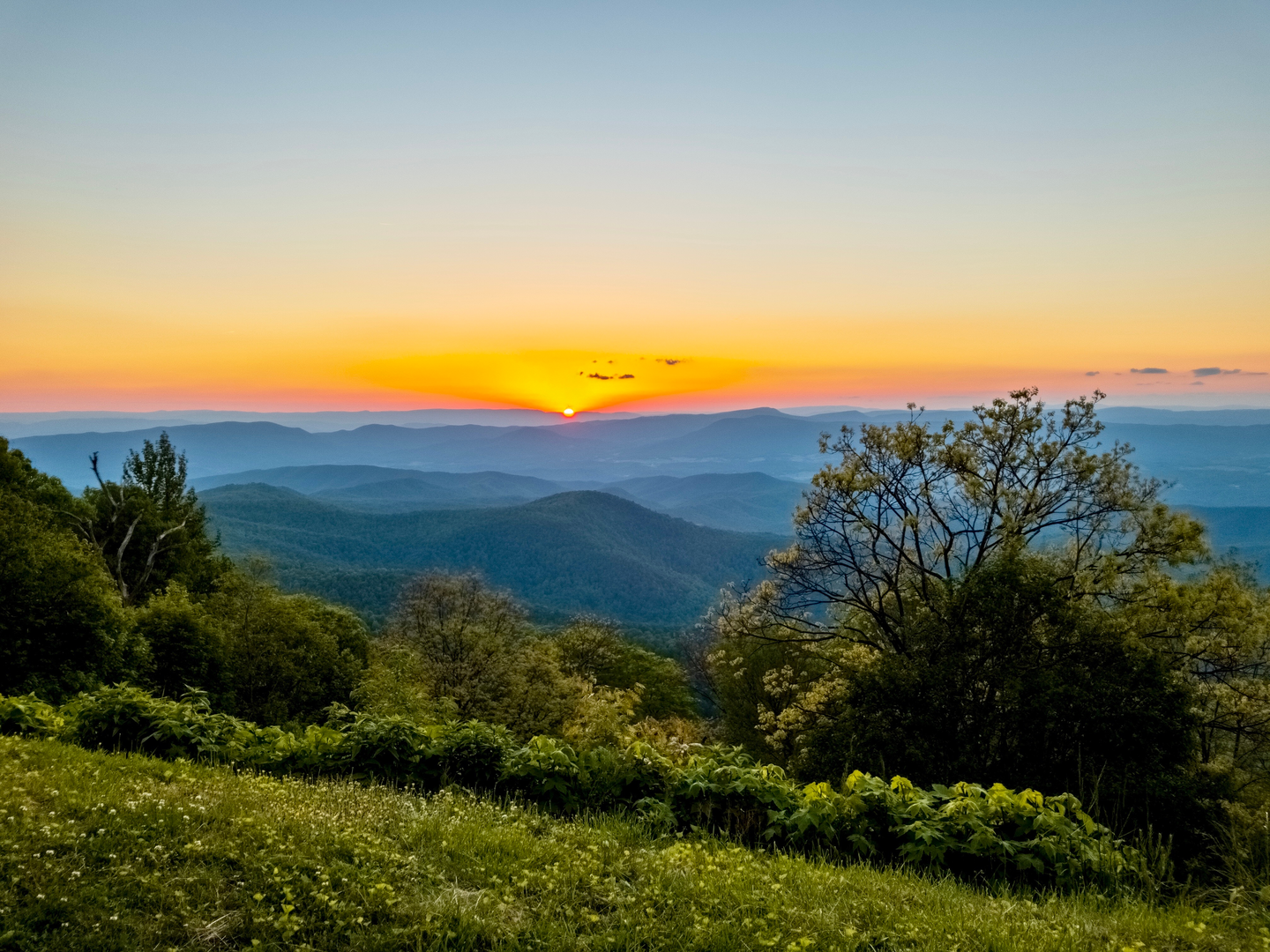 An image depicting the trail Wild Oak Loop and its surrounding area.