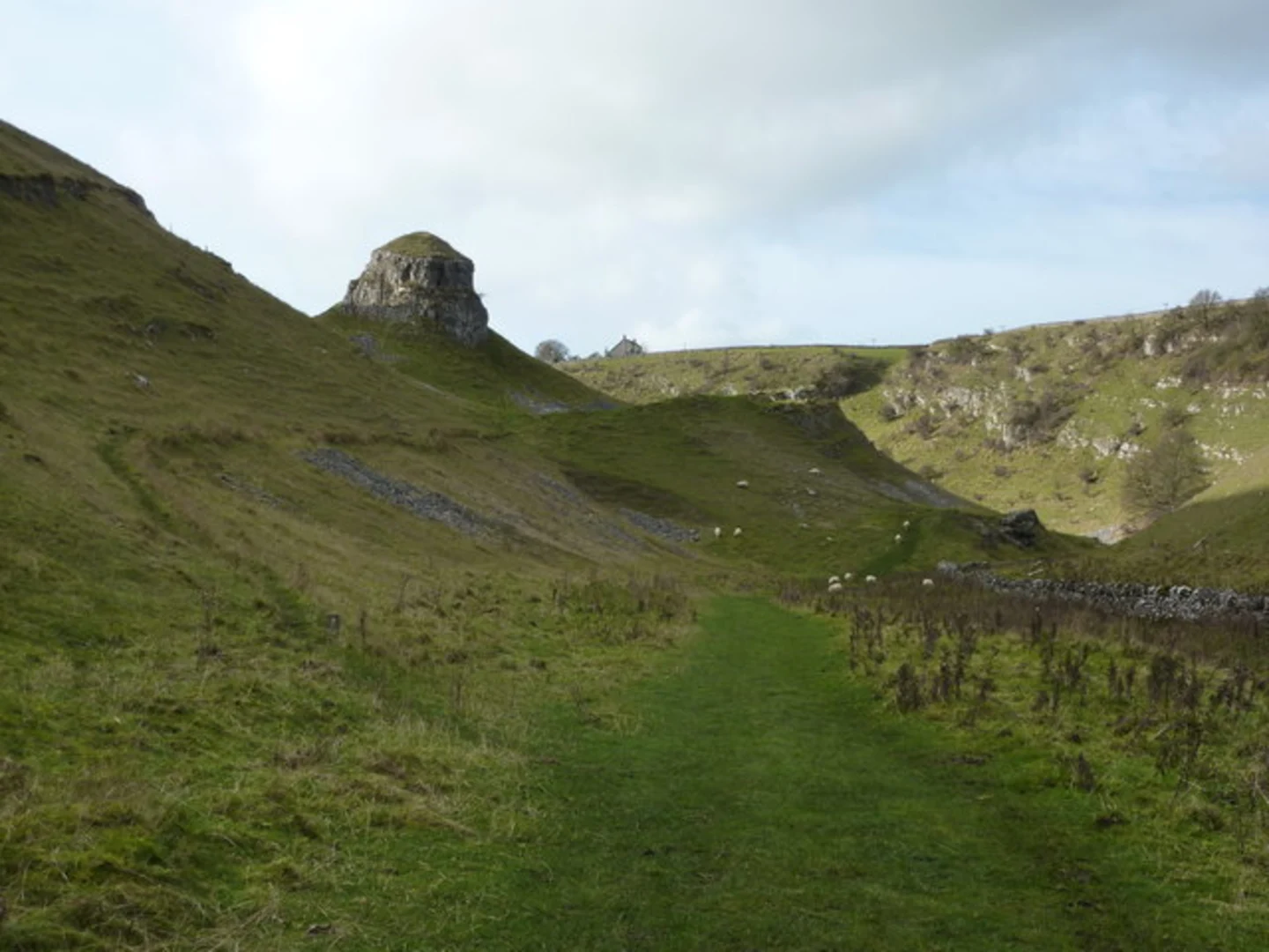 An image depicting the trail Cressbrook to Litton Loop via Derbyshrire Dales National Nature Reserve and its surrounding area.
