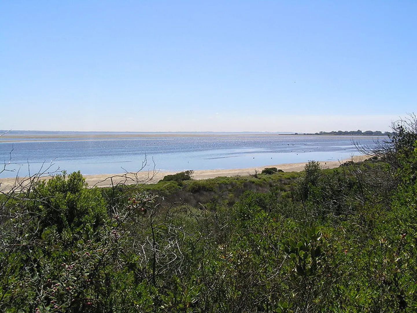 An image depicting the trail Queenscliff Dune Walk and its surrounding area.