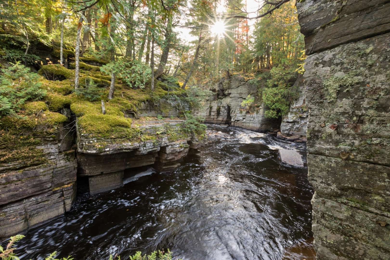 An image depicting the trail Sidnaw Creek Trail and its surrounding area.