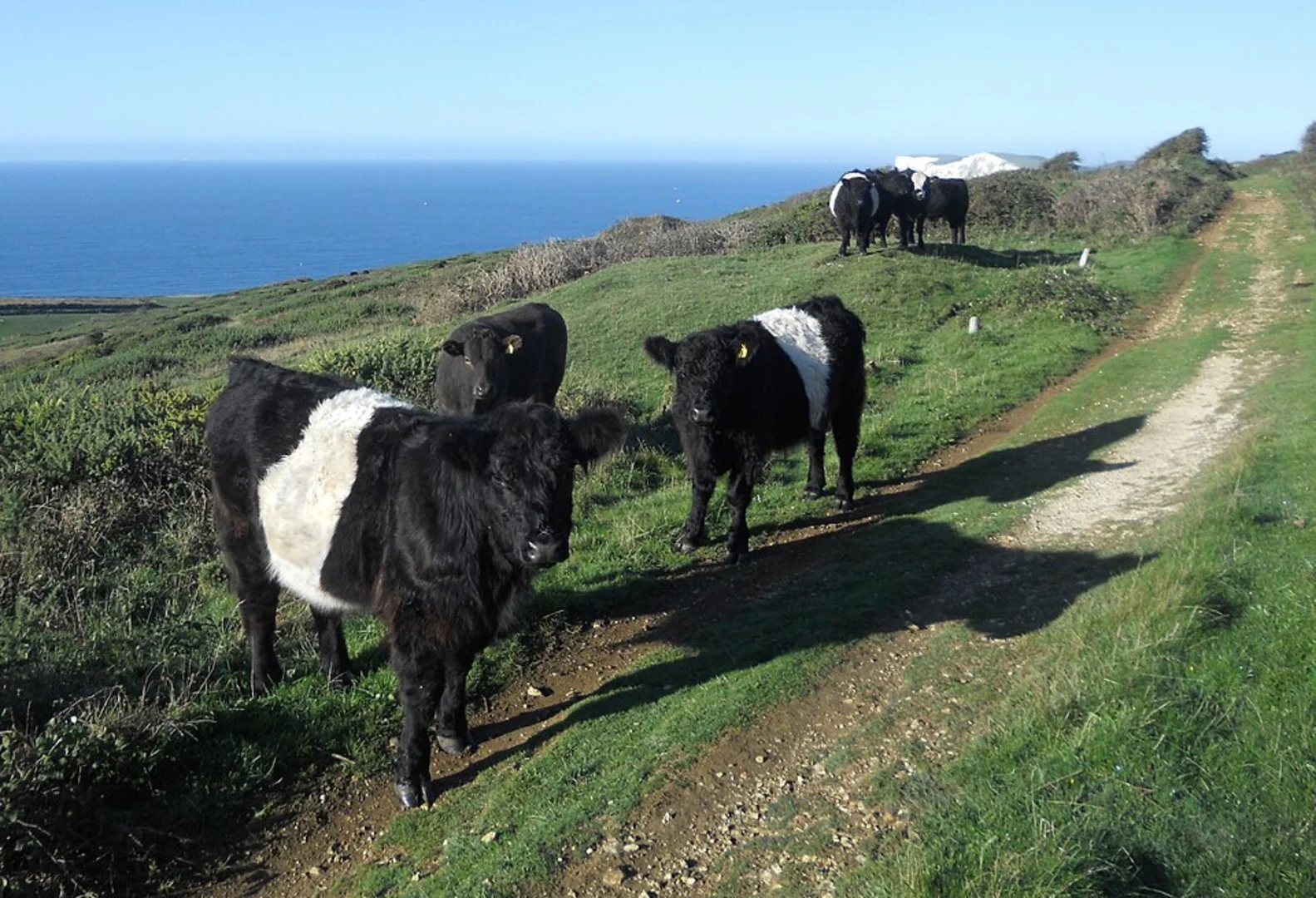 An image depicting the trail Brook Down Walk and its surrounding area.