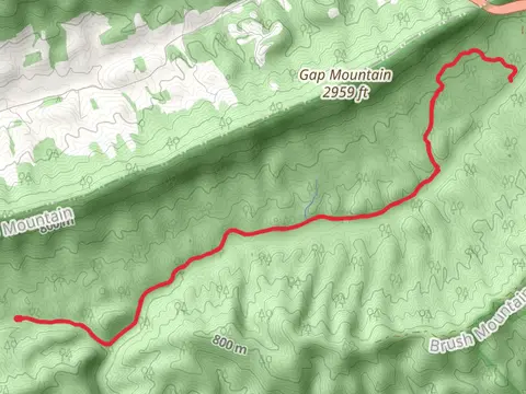 Royale Trail