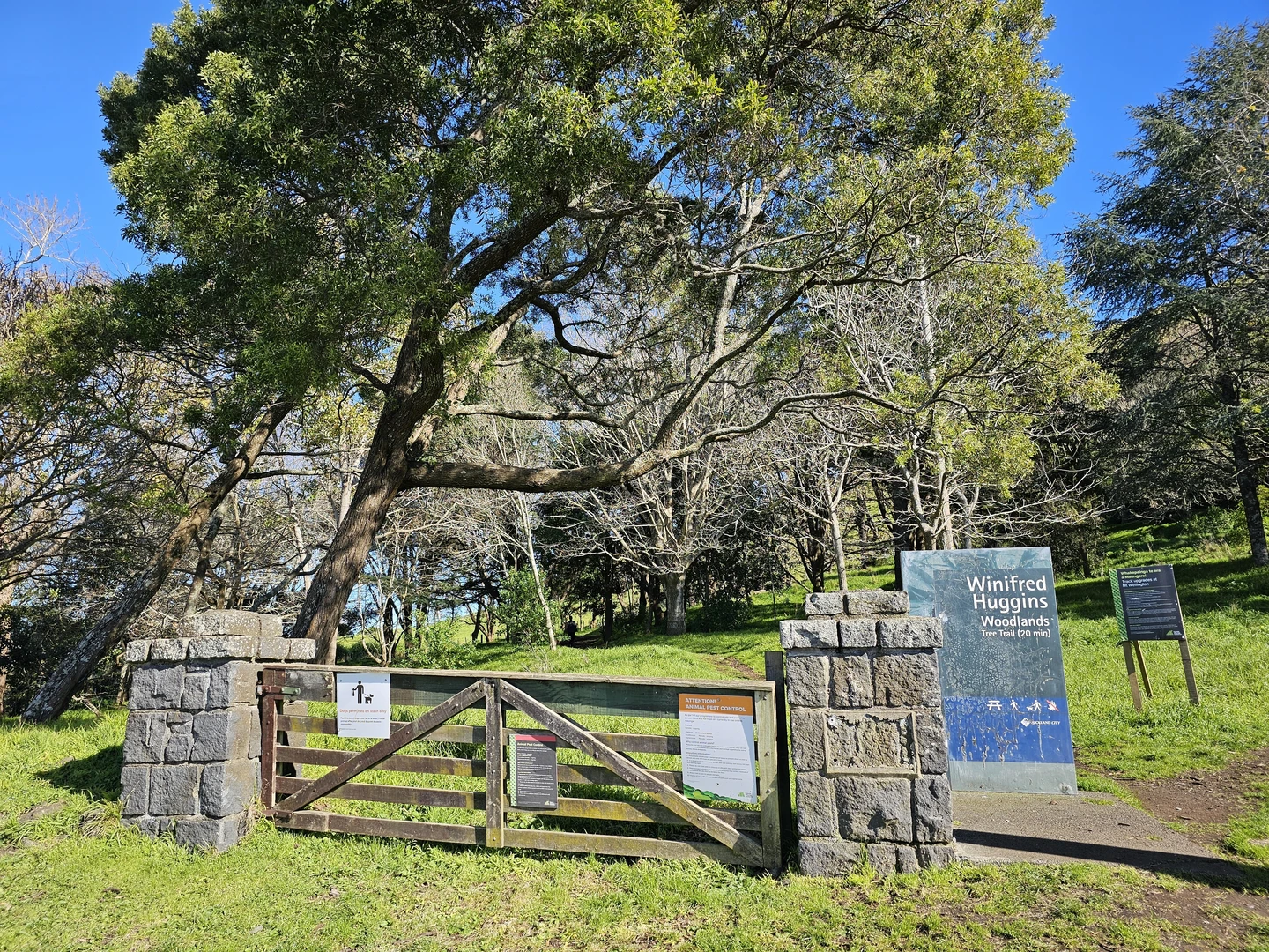 An image depicting the trail Winnifred Huggins Woodland and Mt Wellington Summit Loop and its surrounding area.