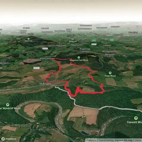 Chepstow Park Wood and Pilmoore Wood Loop