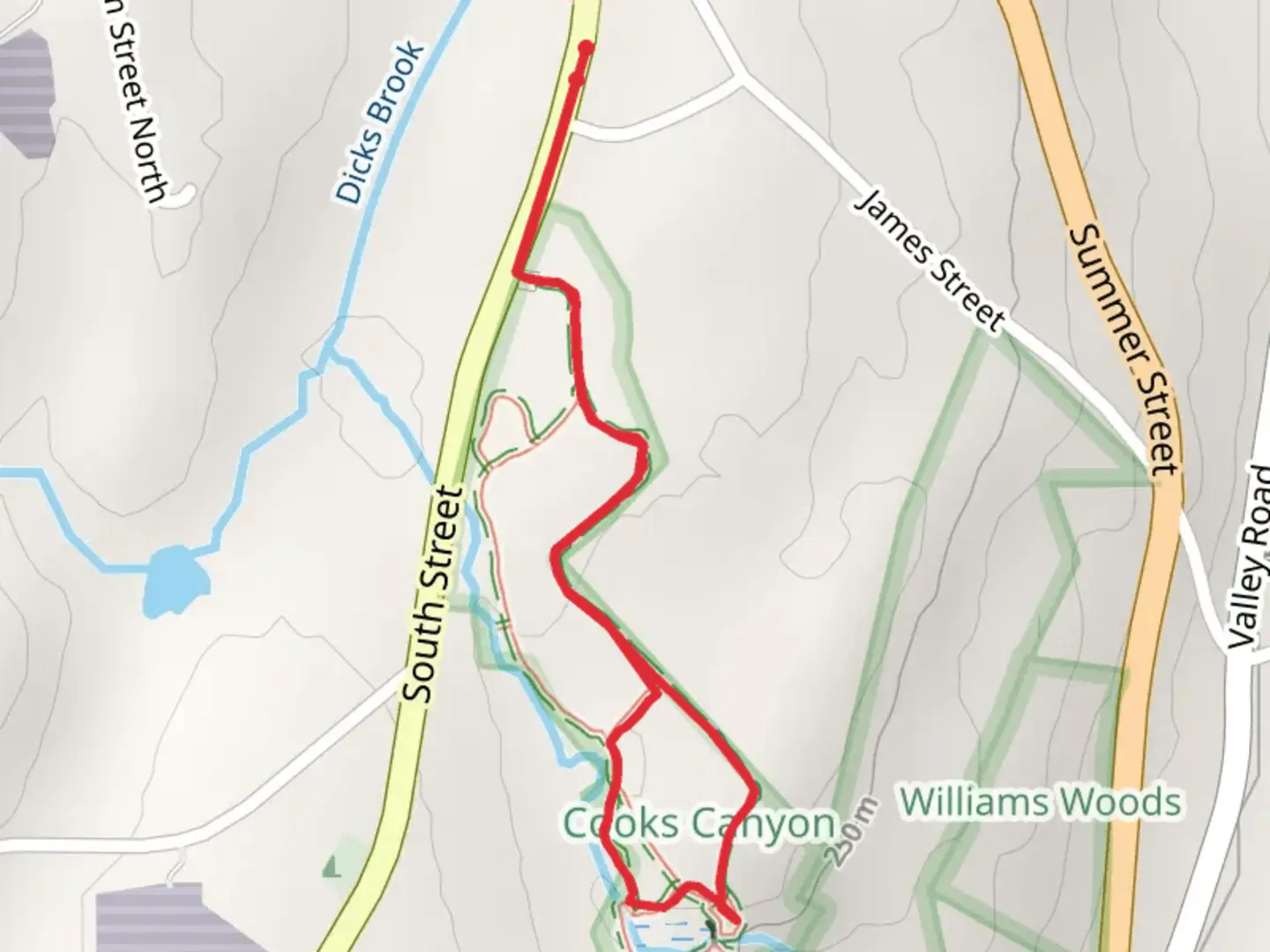 An image depicting the trail Galloway Brook Trail Loop from South Street and its surrounding area.