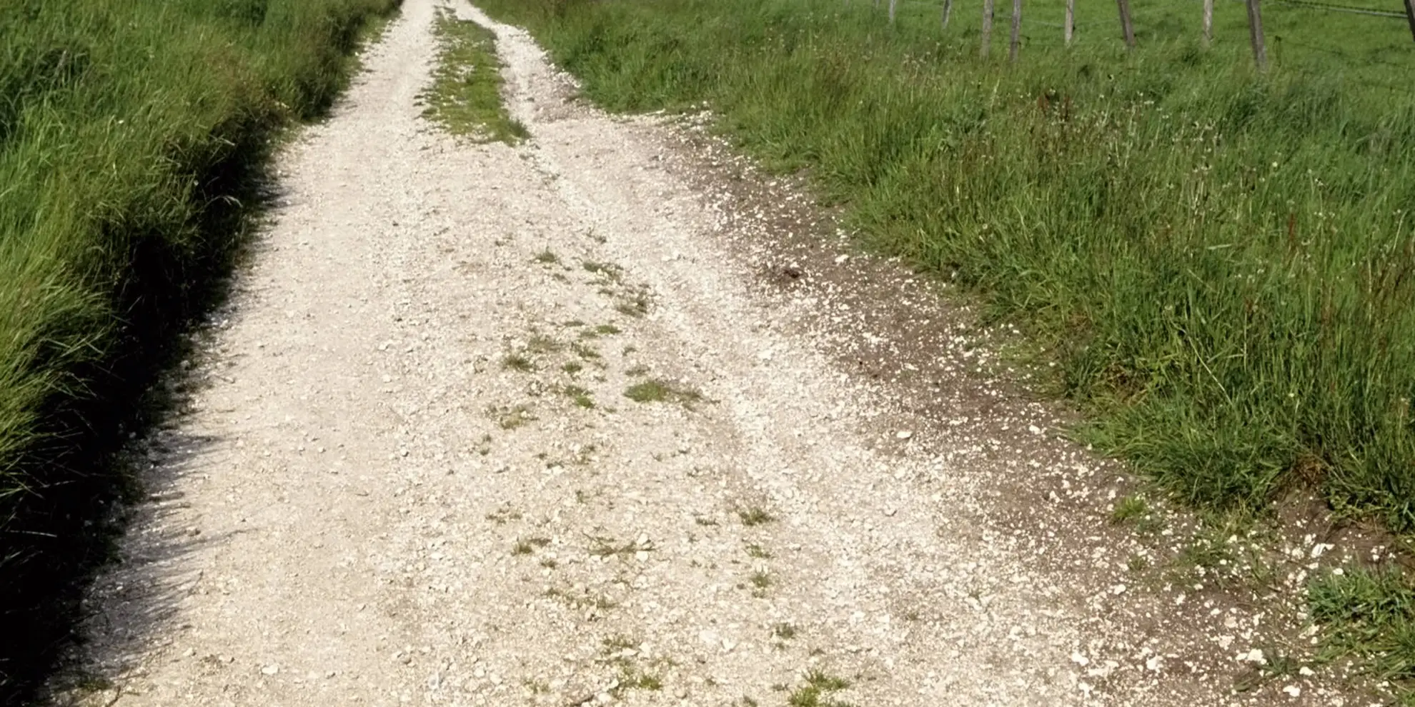 An image depicting the trail The Lambourn Downs and its surrounding area.