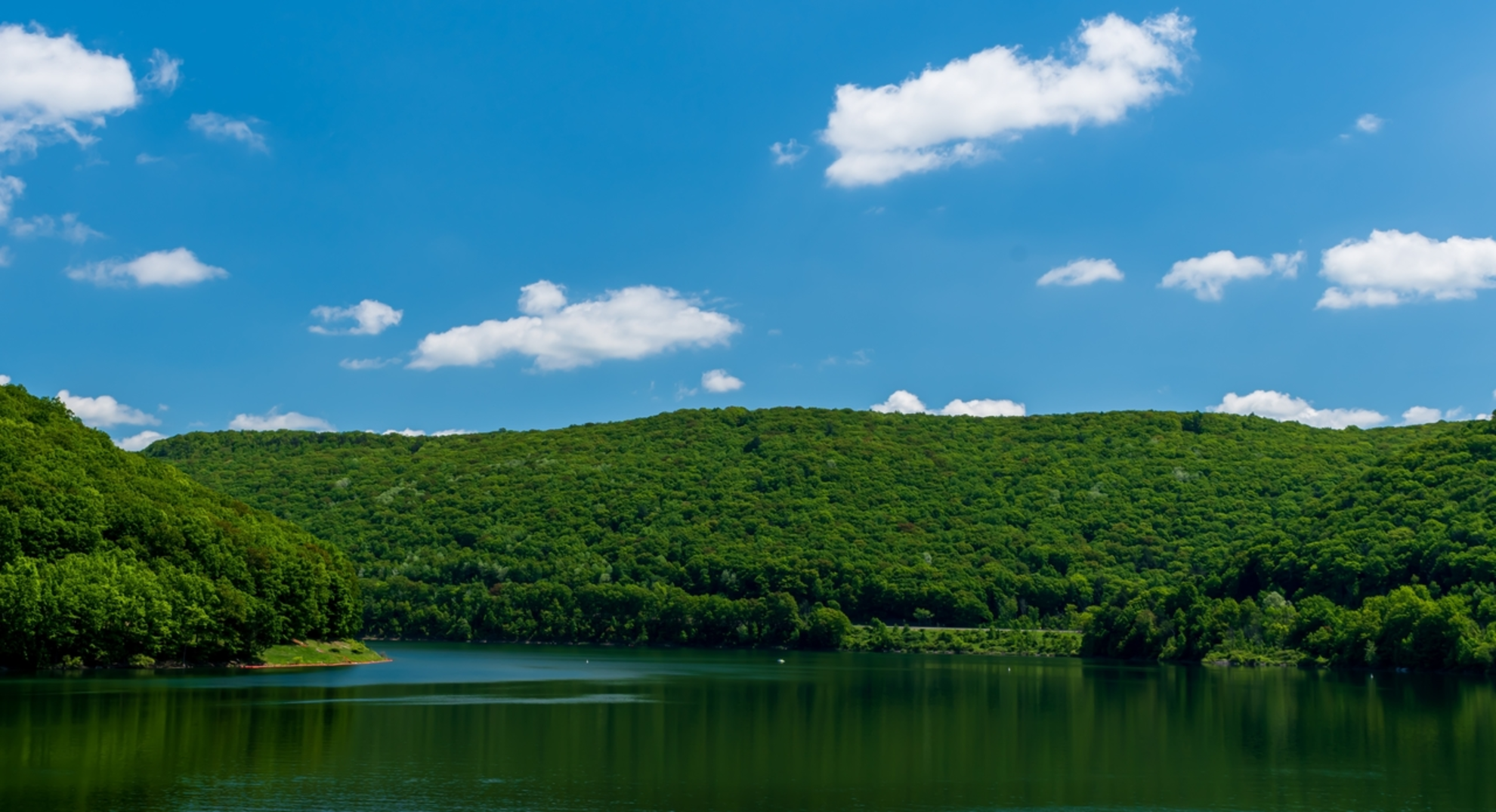 An image depicting the trail Bullis Hollow Trail and its surrounding area.