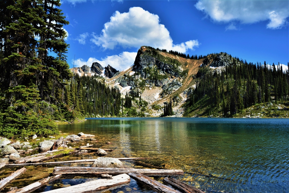 An image depicting the trail Mount Revelstoke National Park of Canada and its surrounding area.