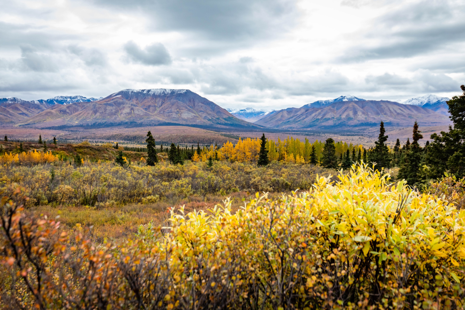 An image depicting the trail Mountain Vista Trail and its surrounding area.