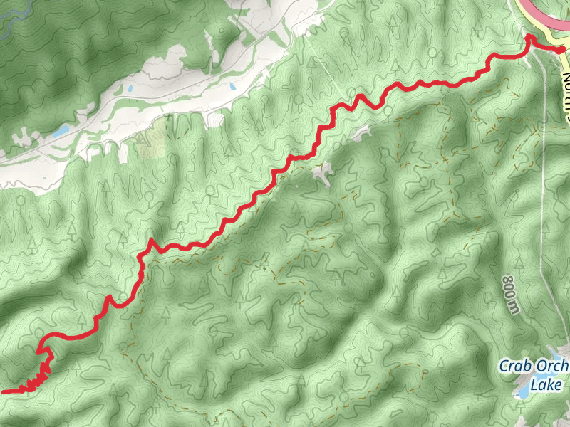 Laurel Creek Campsite via Appalachian Trail