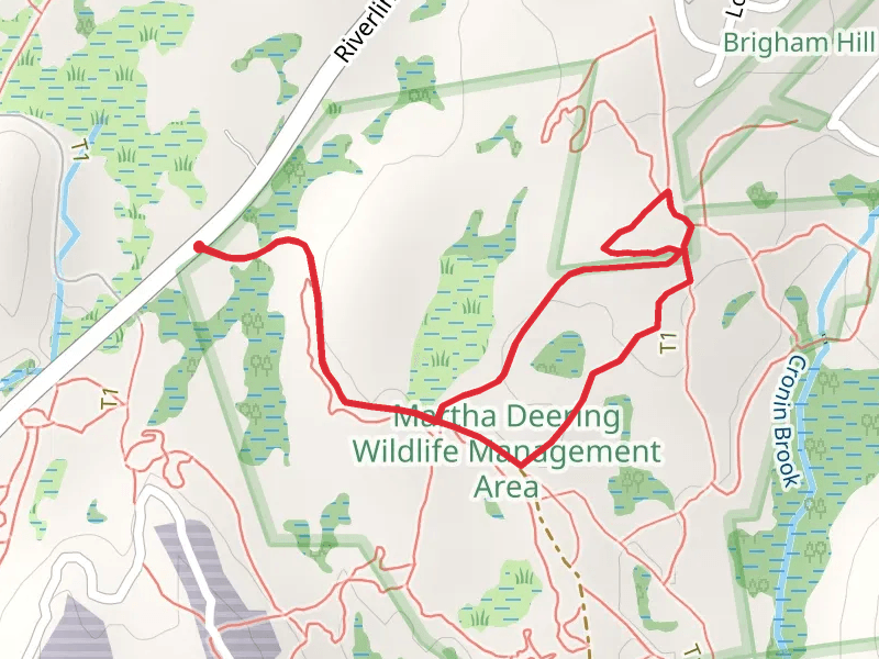 Martha Deering Wildlife Area Loop Trail