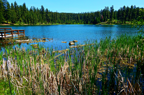 Round Mountain Trail