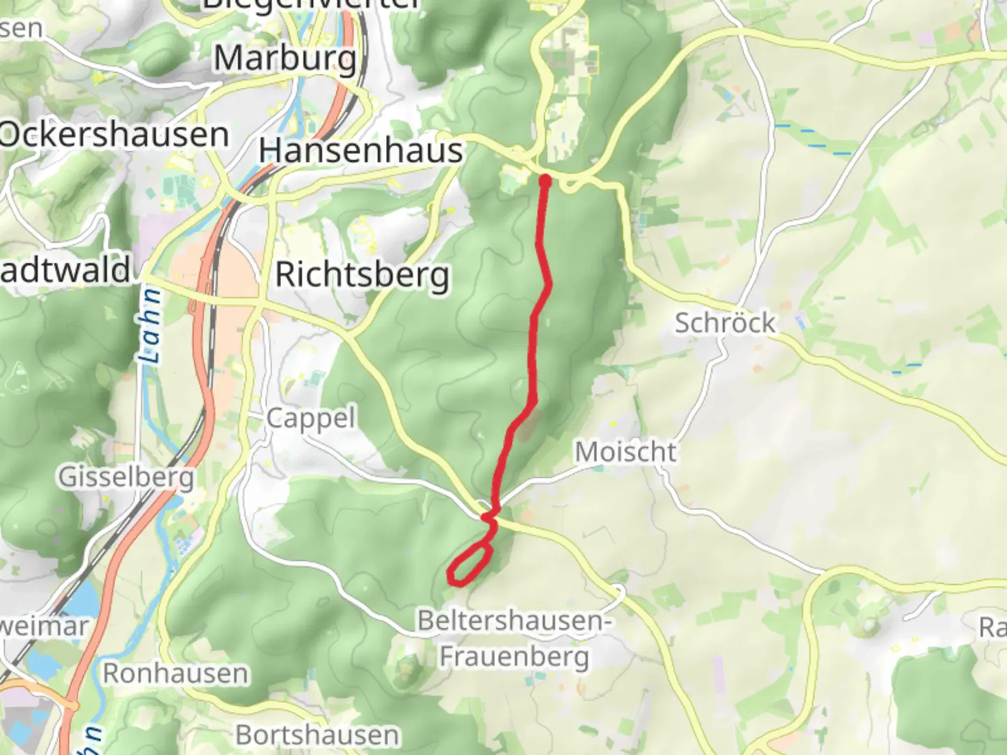 An image depicting the trail Wittstrauch Loop and its surrounding area.