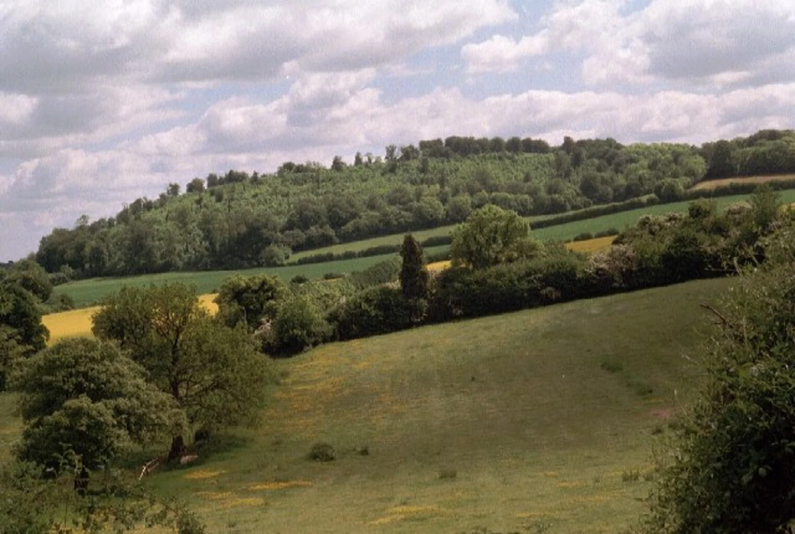 An image depicting the trail Liss, Warren Corner and Empshott Loop and its surrounding area.