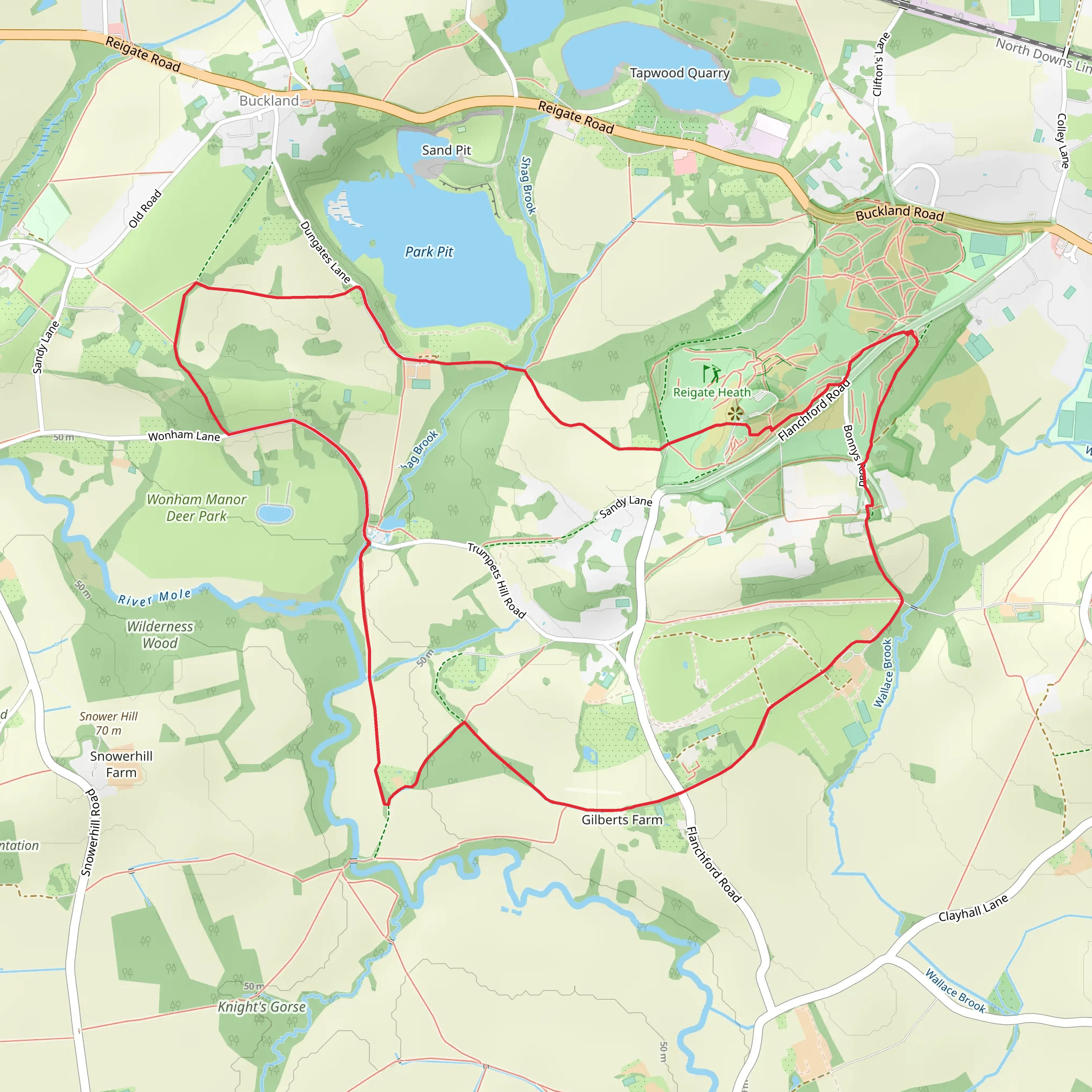 Reigate Loop mobile static map