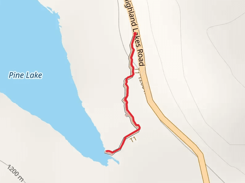 Pine Lake Walk