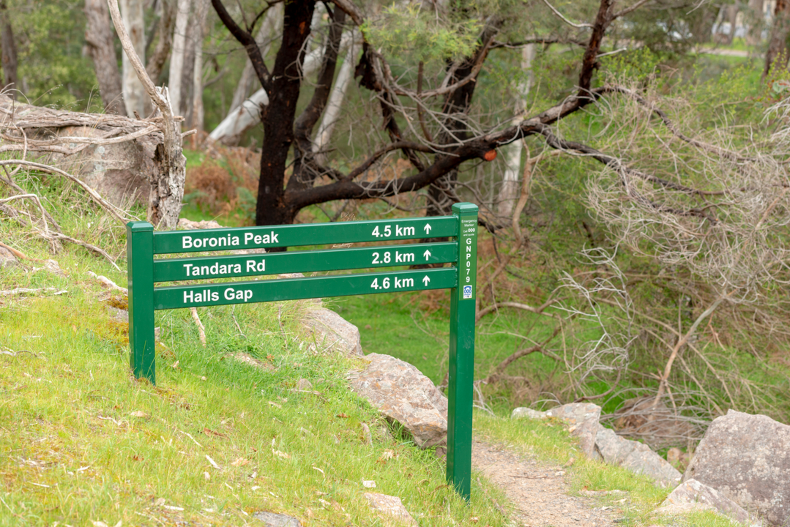 An image depicting the trail Delleys Bridge Walking Track and its surrounding area.