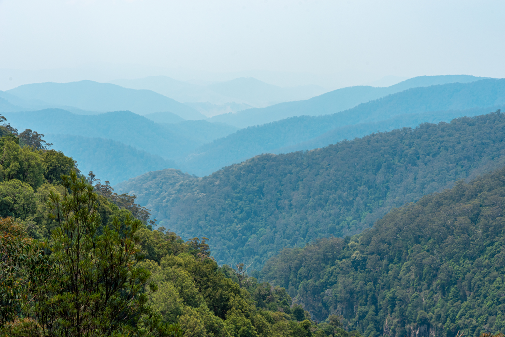 An image depicting the trail Gloucester Falls Track and its surrounding area.