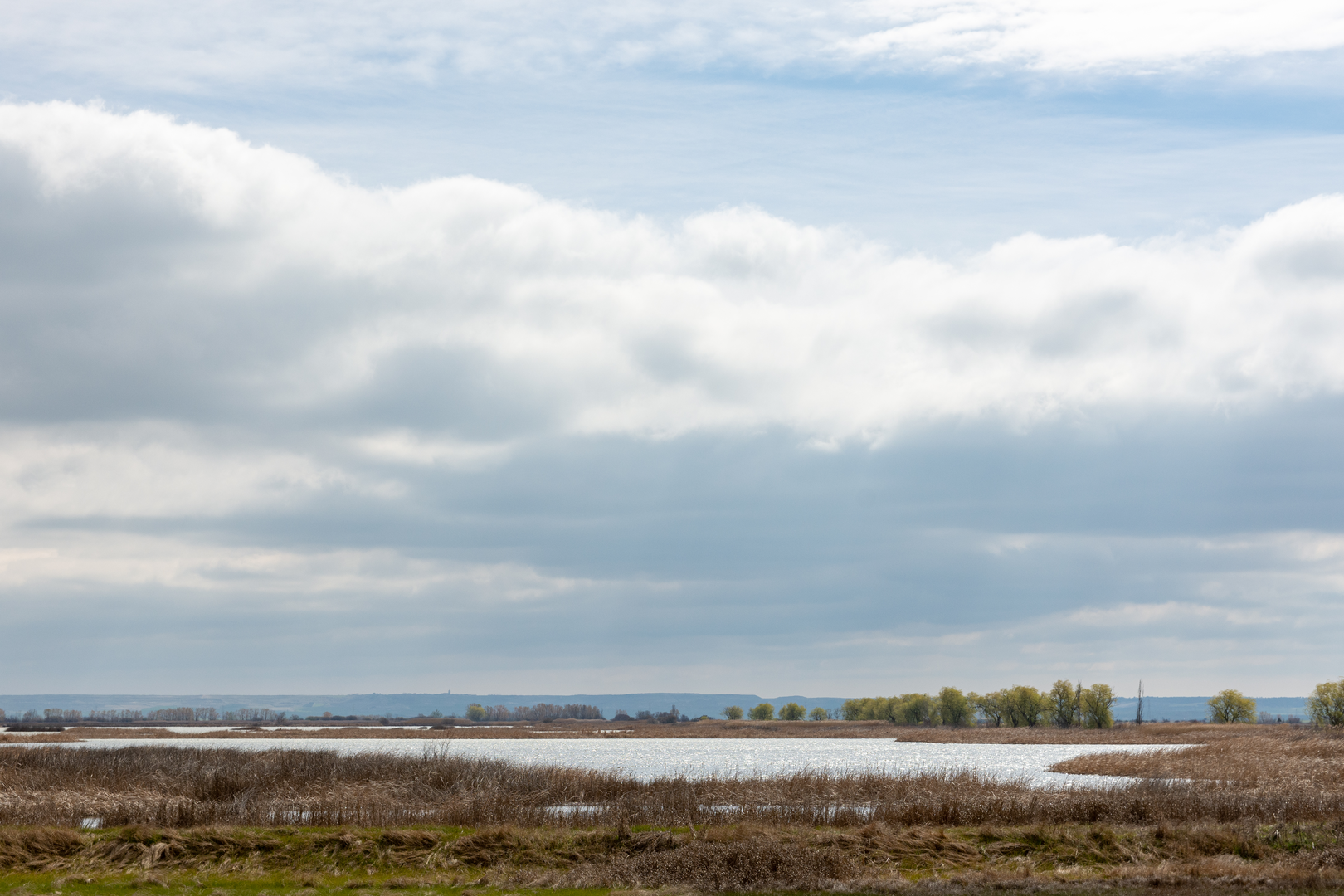 An image depicting the trail Laguna de la Nava and its surrounding area.