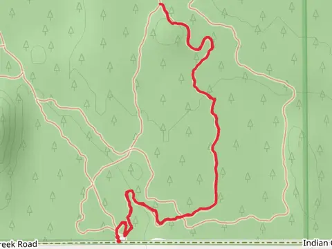 Geophysical - Cougar Trail