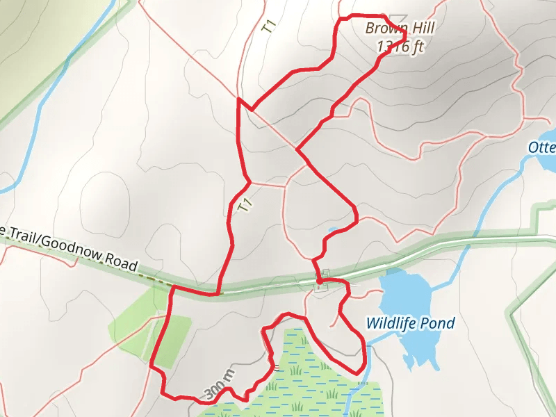 Brown Hill and South Meadow Loop Trail