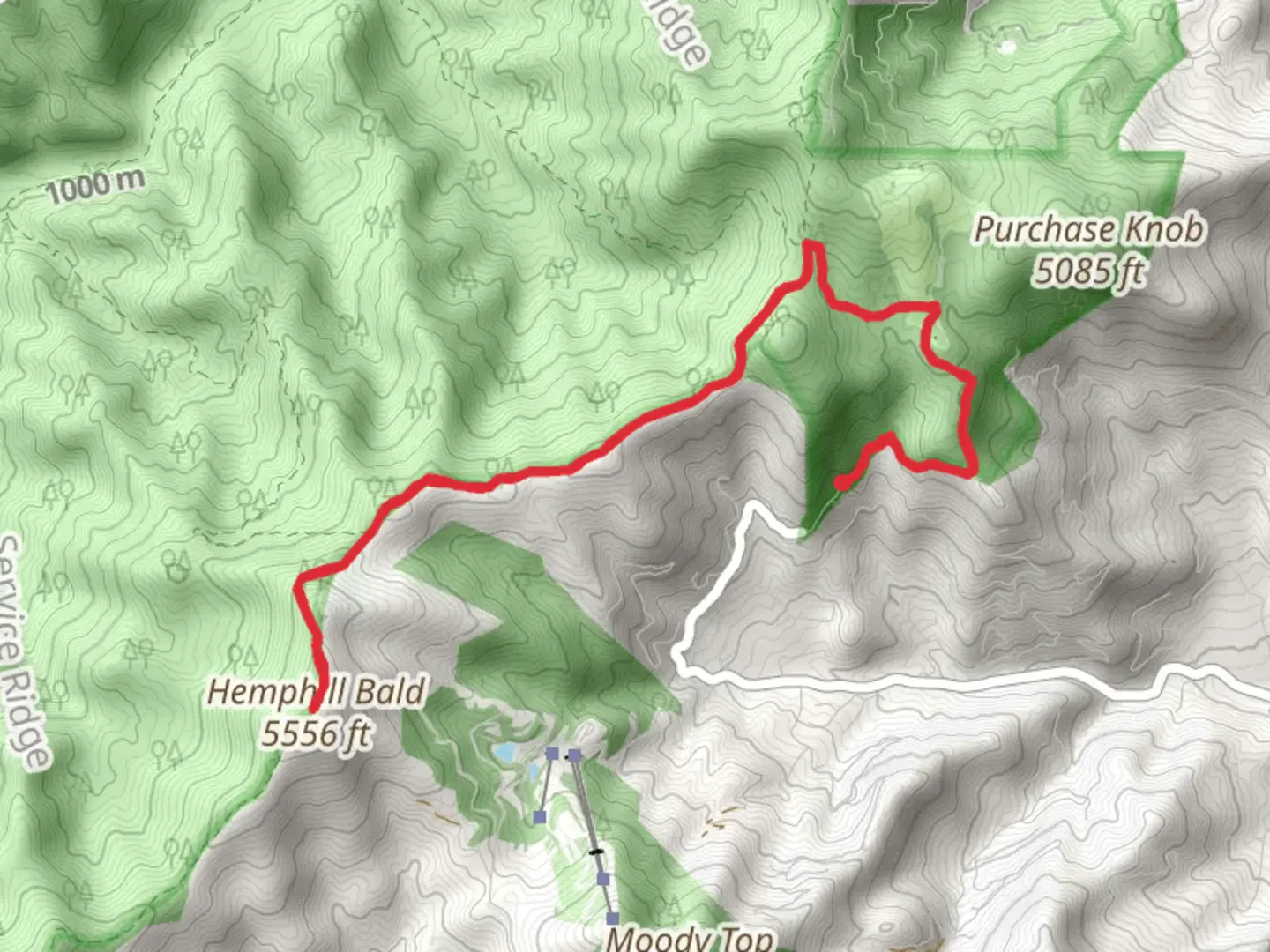 An image depicting the trail Hemphill Bald via Cataloochee Divide Trail and its surrounding area.