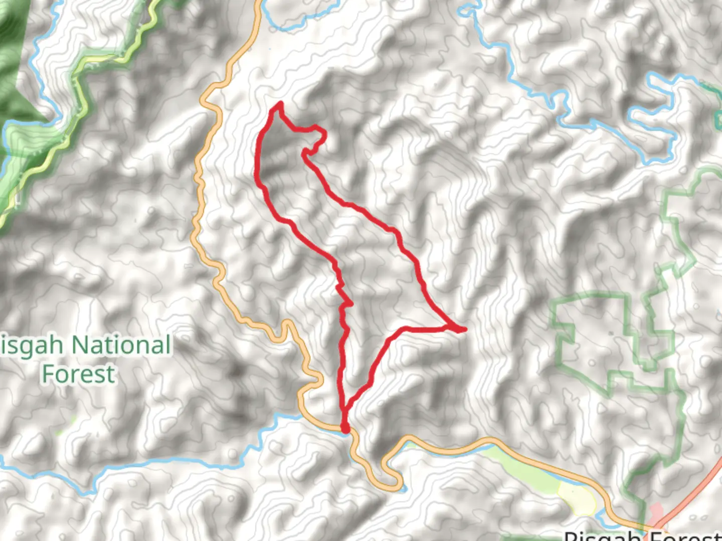 An image depicting the trail Coontree, Buckwheat Knob and Avery Creek Loop and its surrounding area.