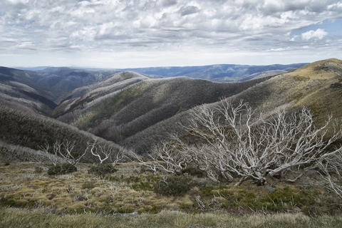 Feathertop and Highplains Circuit Trail