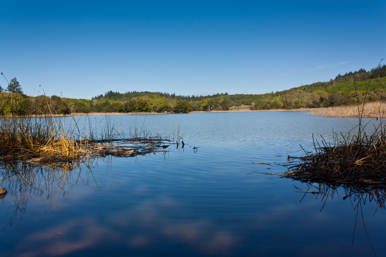 An image depicting the trail Lake Ilsanjo Loop via Canyon Trail and its surrounding area.