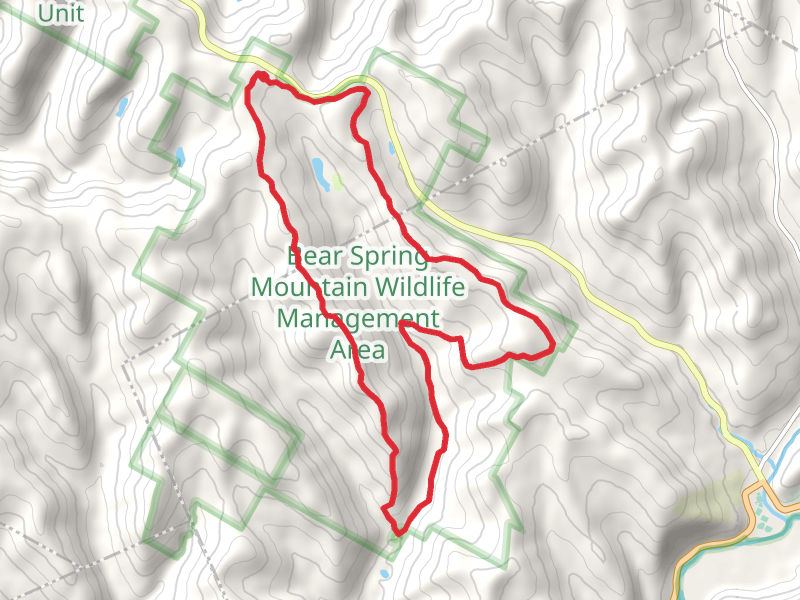 Fork Mountain Loop
