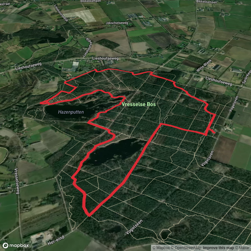 Hazenputten in Vresselse Bos